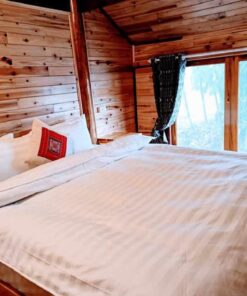 Sao Sapa Homestay&trekking